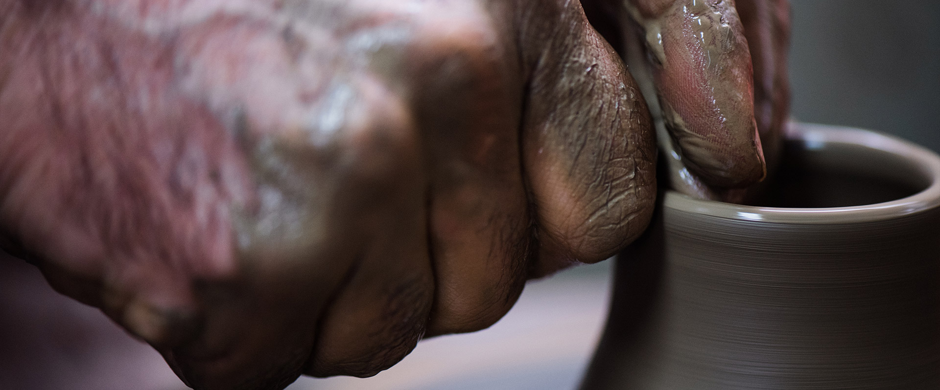 A close up of the hand and forearm.