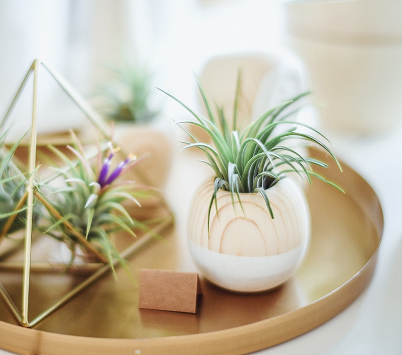 A plant in a white pot on top of a wooden tray.
