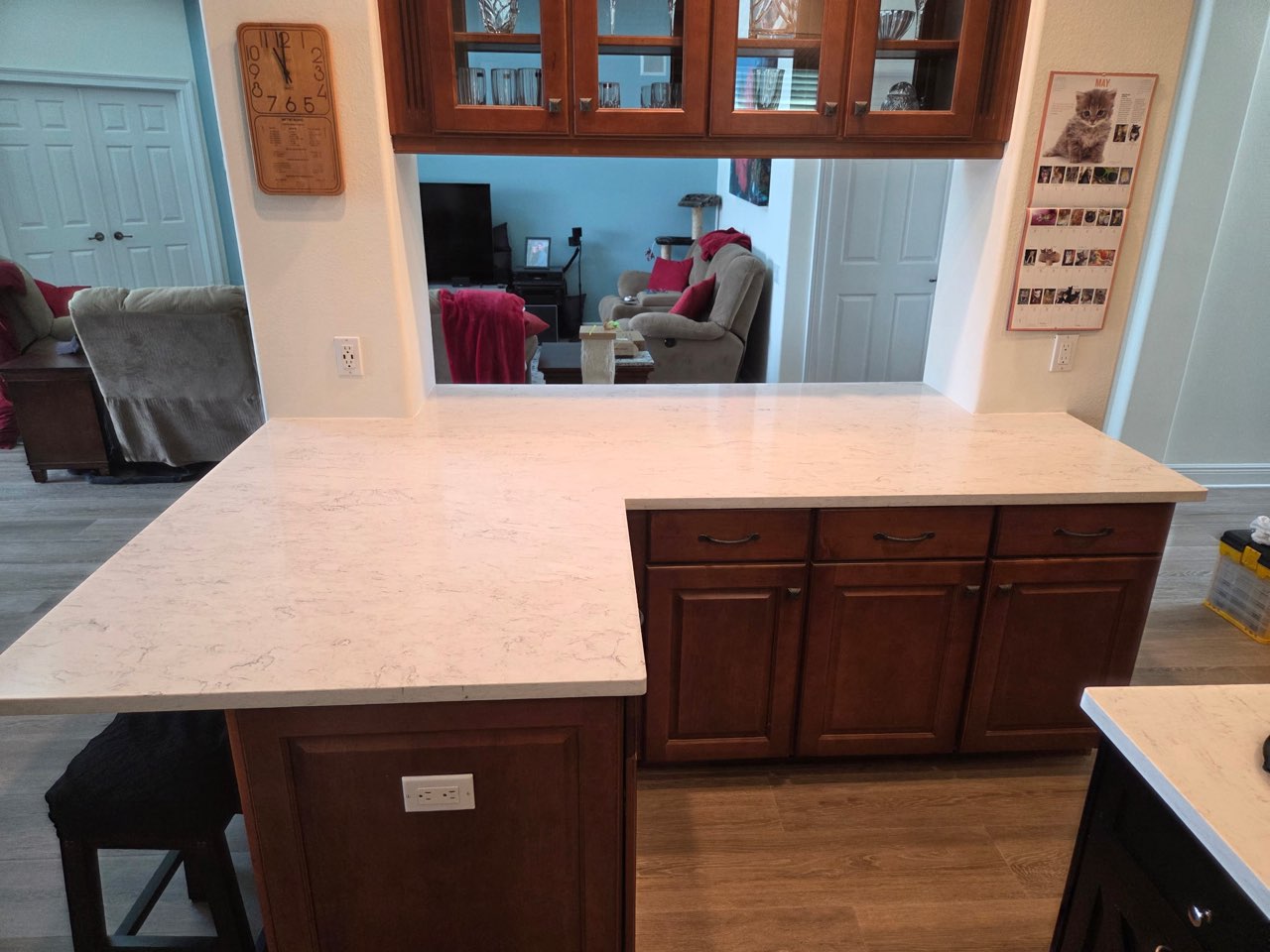 Jennifer's remodeled Tampa kitchen with custom quartz countertops and a lowered island.